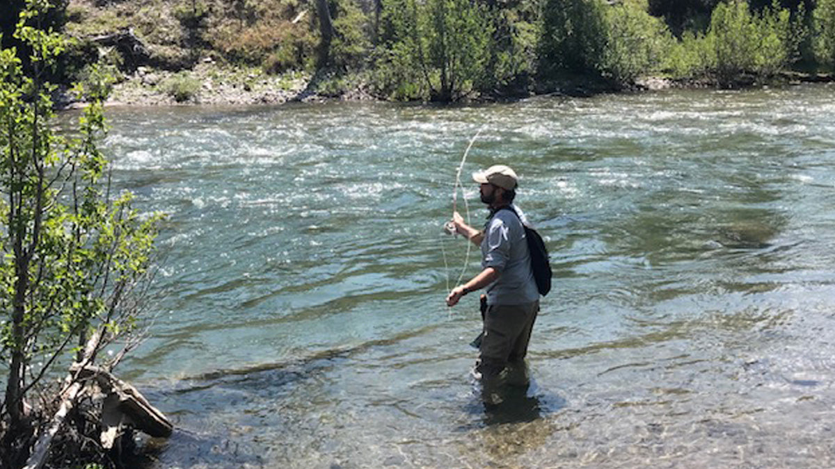 fly fishing vs. Spinning fishing