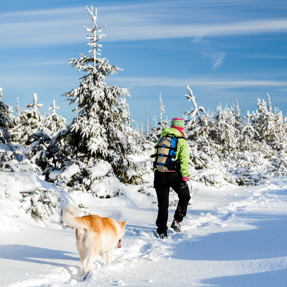 GPS Tracker in Winter Wilderness