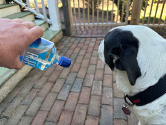 WaterBall - Safe and Efficient Dog Drinking System