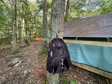 Tree Hugger (Leave No Trace Camp Hook)
