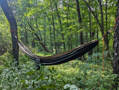 Tree Anchor (Hammock Camping, Bear Bag Hanging, Hoist Point, Ultralight, Holds 750 lbs)