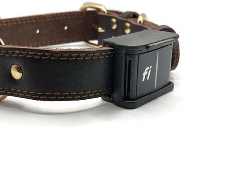 Lana  Fi Smart Dog Collar