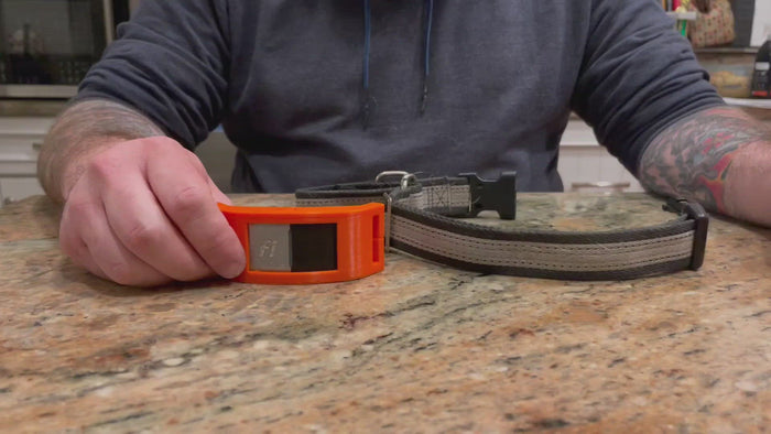 Fi GPS Beacon Holder how to add to a collar