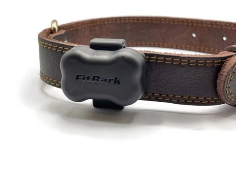 FitBark GPS Fastener